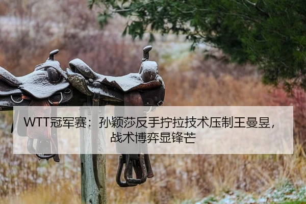 WTT冠军赛：孙颖莎反手拧拉技术压制王曼昱，战术博弈显锋芒