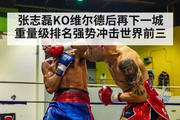张志磊KO维尔德后再下一城重量级排名强势冲击世界前三