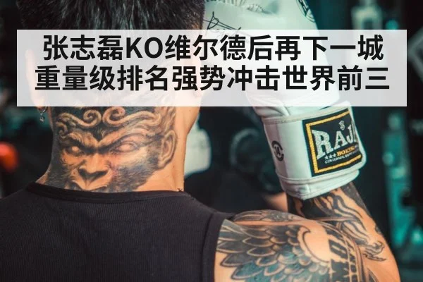 chinese boxer training