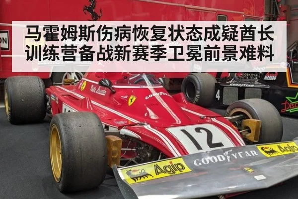 马霍姆斯伤病恢复状态成疑酋长训练营备战新赛季卫冕前景难料